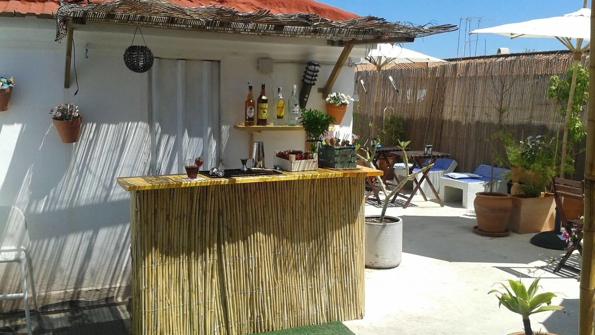 Casa Al Sur Terraza Hostel Malaga Spain