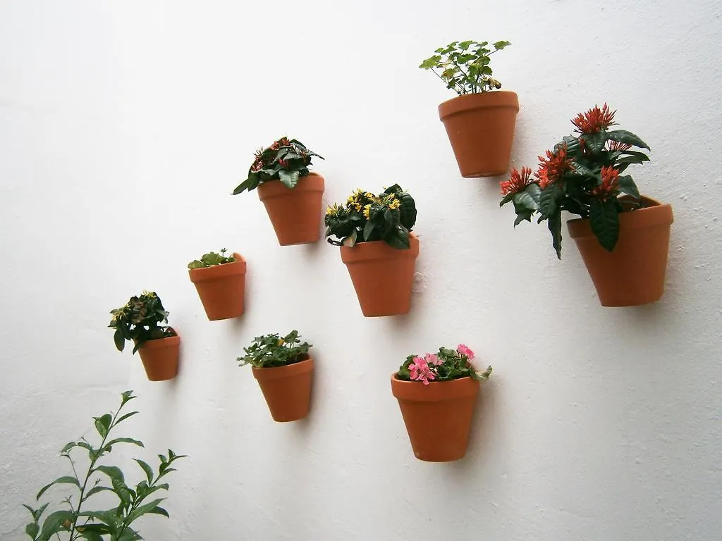 Casa Al Sur Terraza Hostel Málaga